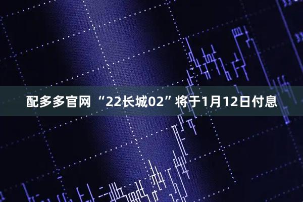 配多多官网 “22长城02”将于1月12日付息