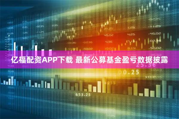 亿福配资APP下载 最新公募基金盈亏数据披露